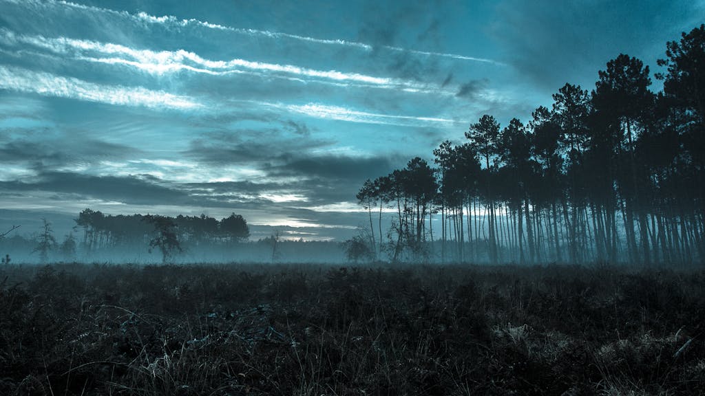 A serene misty forest landscape under a moody blue dusk sky.